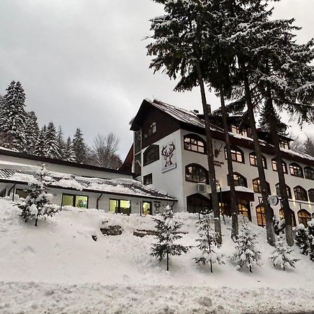 Cerbul Chalet Accommodation & Wellness Rîşnov Eksteriør billede