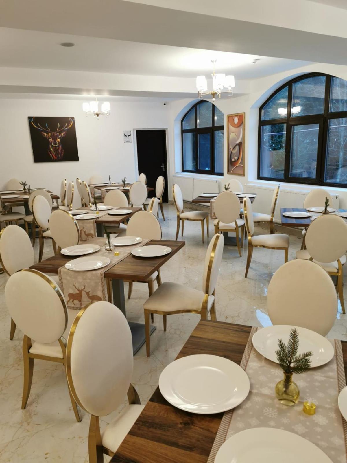 Cerbul Chalet Accommodation & Wellness Rîşnov Eksteriør billede