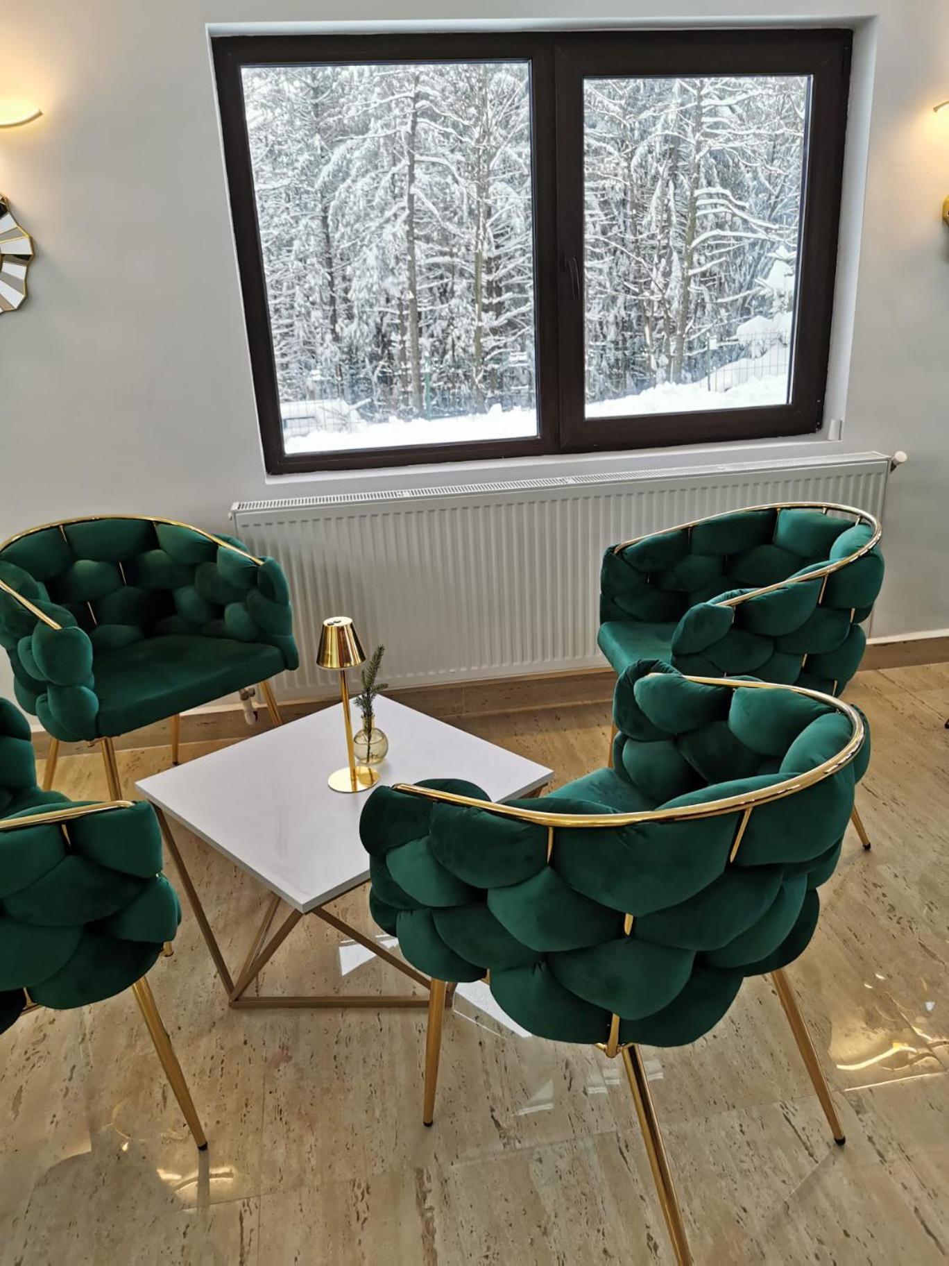 Cerbul Chalet Accommodation & Wellness Rîşnov Eksteriør billede