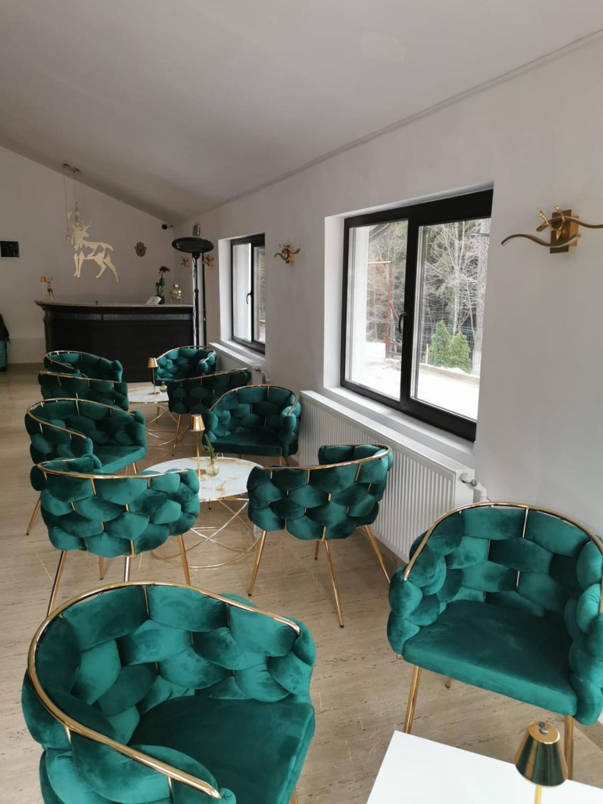 Cerbul Chalet Accommodation & Wellness Rîşnov Eksteriør billede