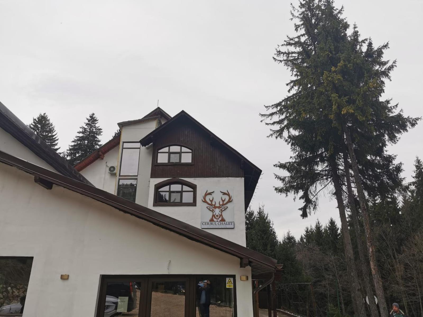 Cerbul Chalet Accommodation & Wellness Rîşnov Eksteriør billede