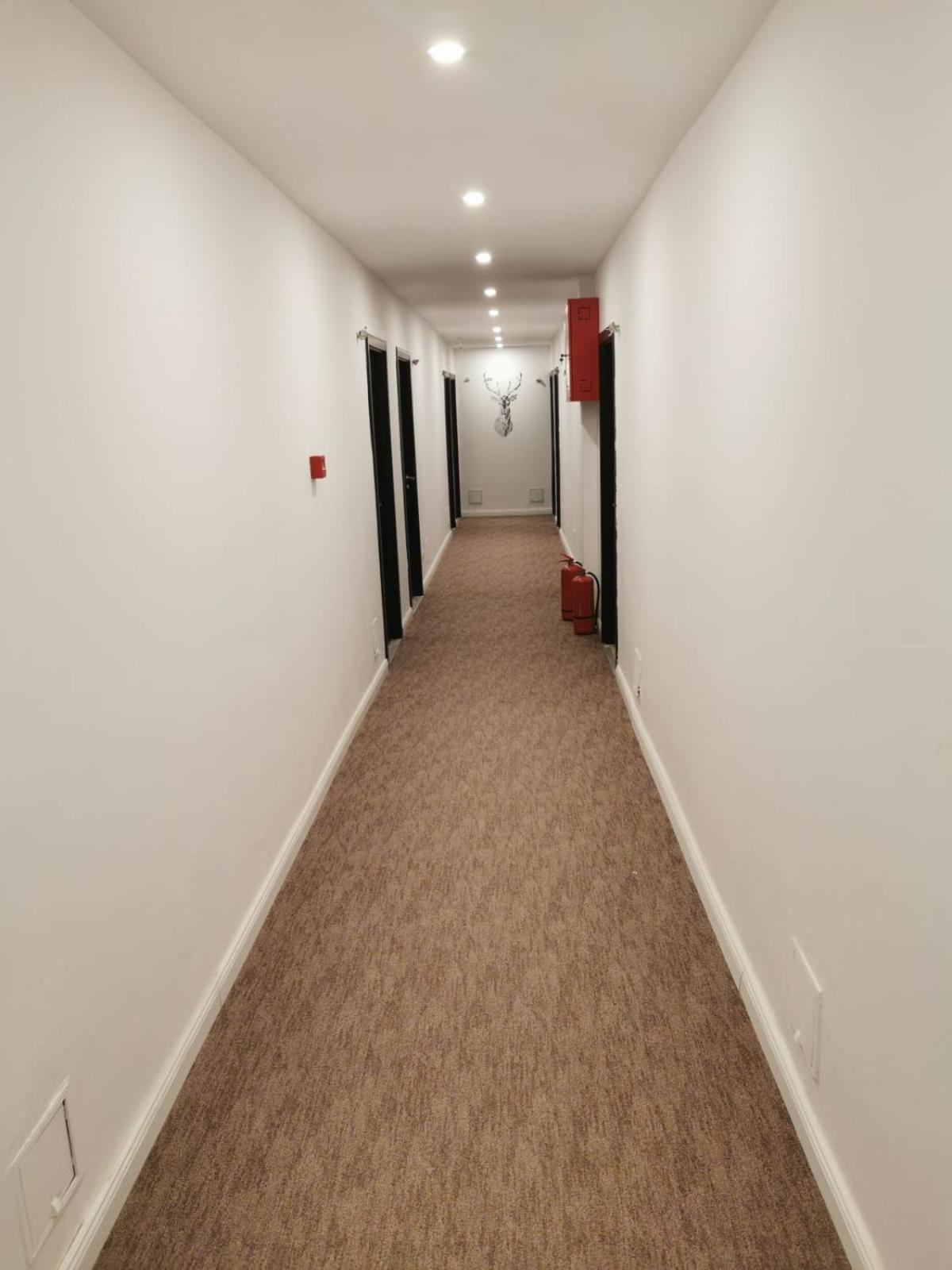 Cerbul Chalet Accommodation & Wellness Rîşnov Eksteriør billede
