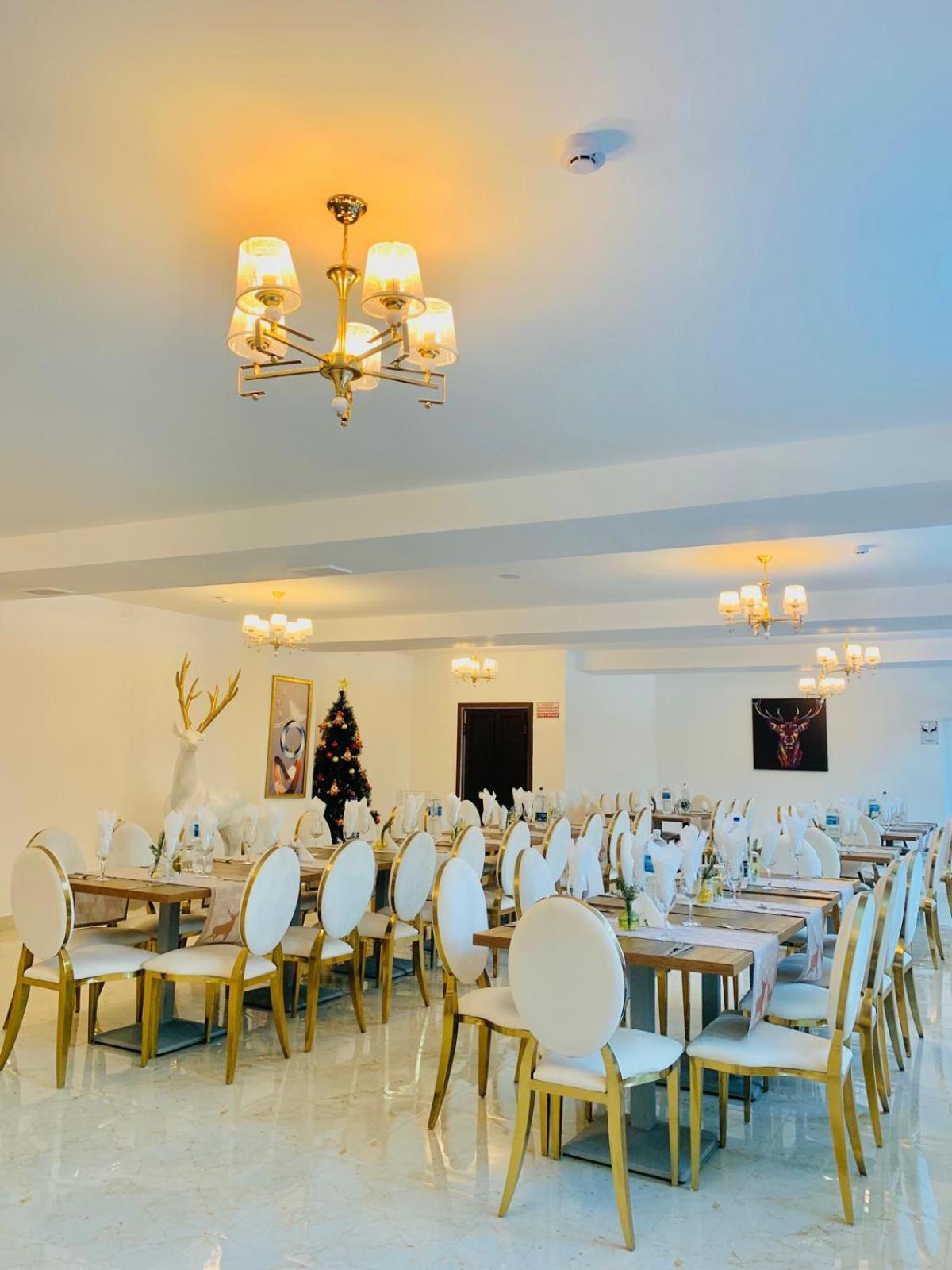 Cerbul Chalet Accommodation & Wellness Rîşnov Eksteriør billede