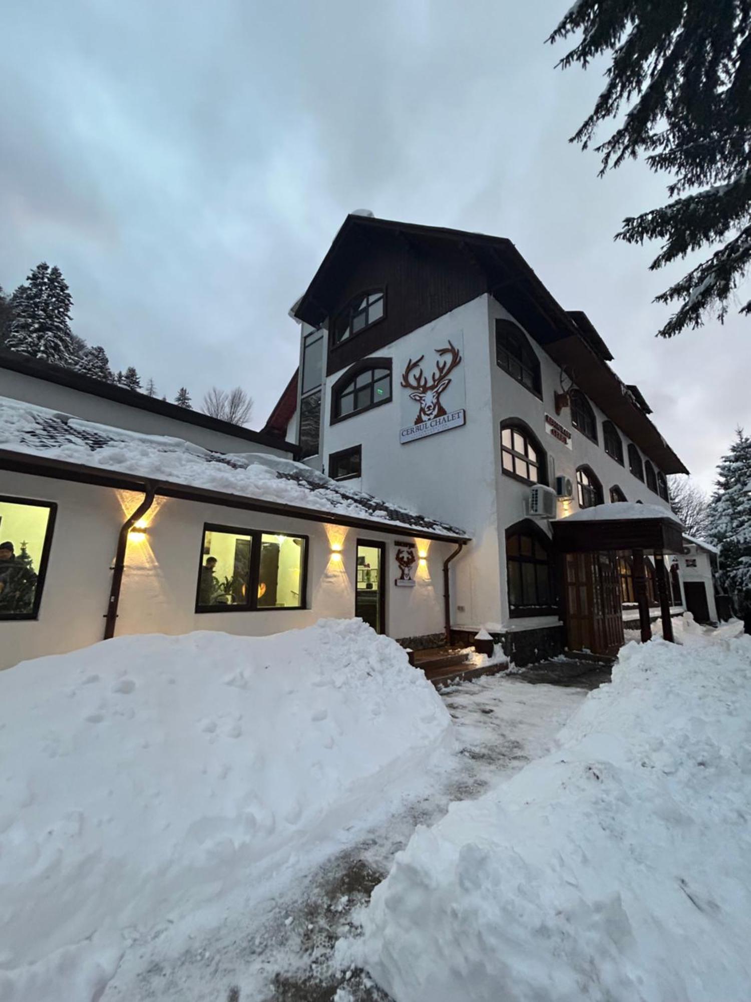 Cerbul Chalet Accommodation & Wellness Rîşnov Eksteriør billede