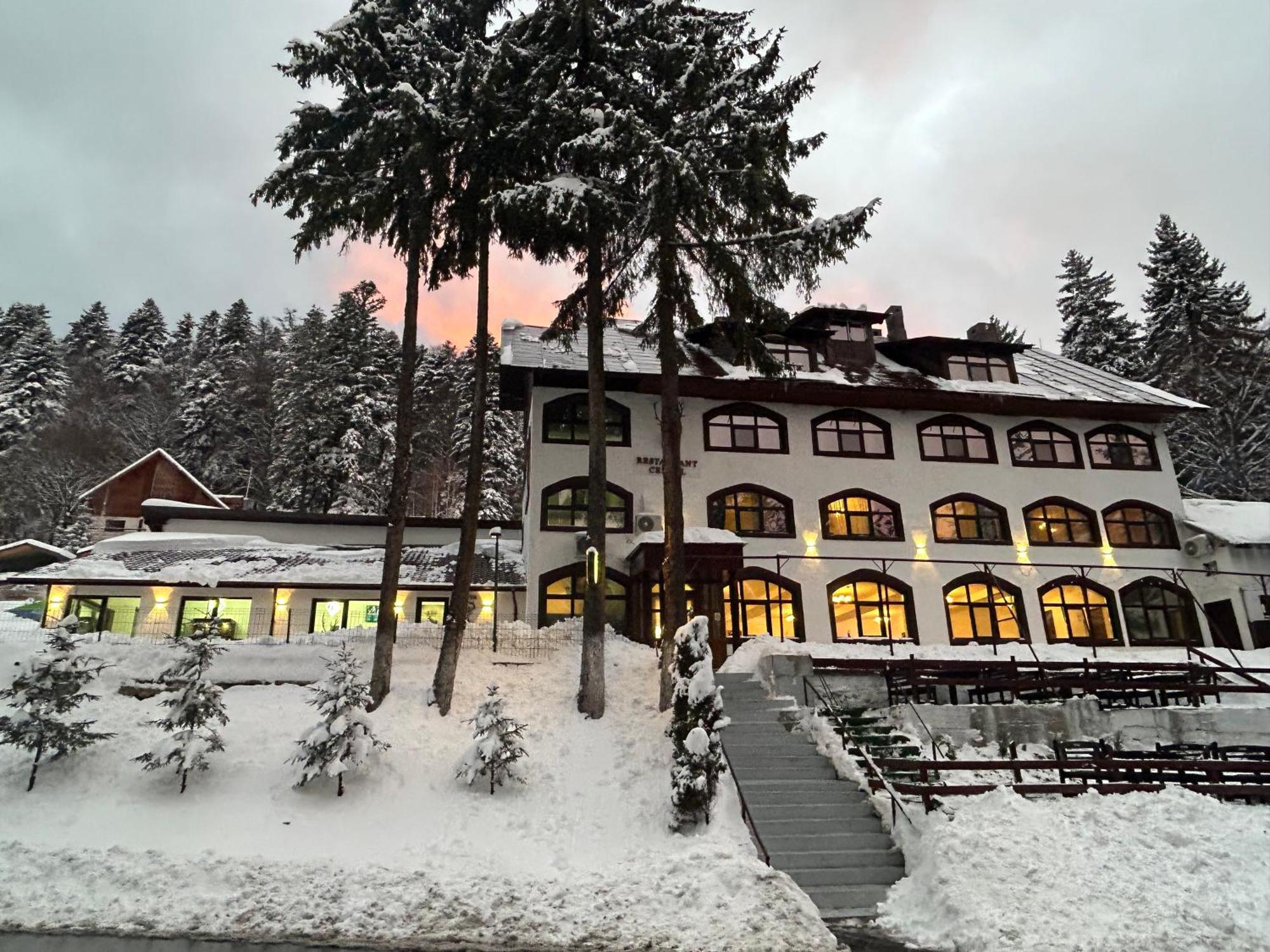 Cerbul Chalet Accommodation & Wellness Rîşnov Eksteriør billede