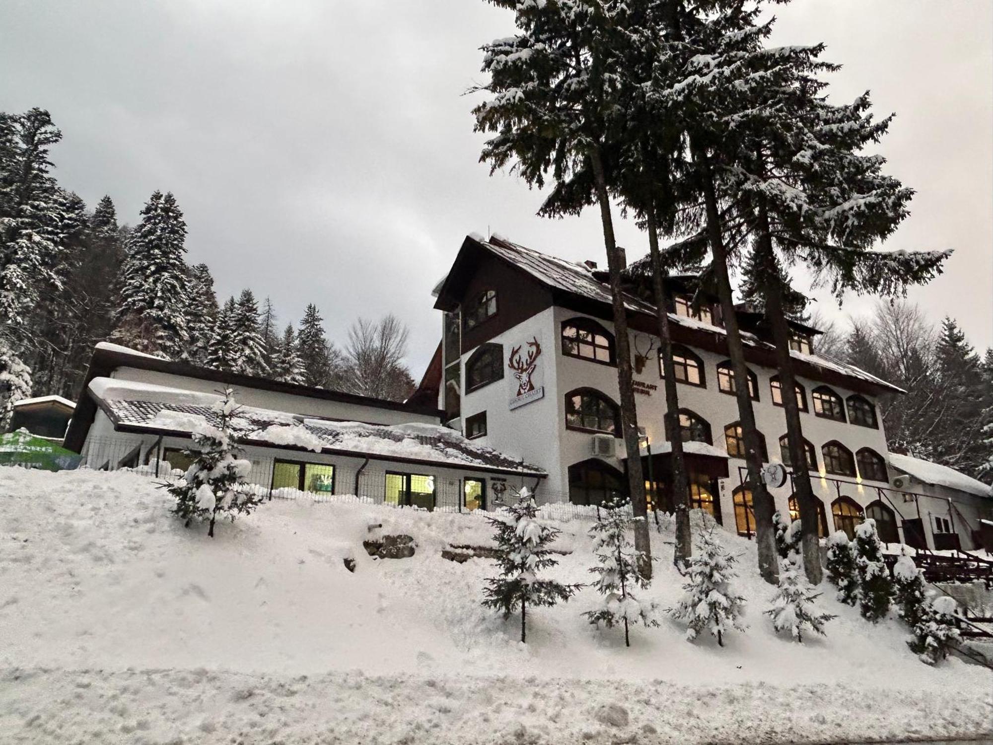 Cerbul Chalet Accommodation & Wellness Rîşnov Eksteriør billede